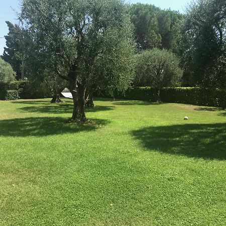 Magnifique Villa Moderne Avec Piscine La Gaude Esterno foto