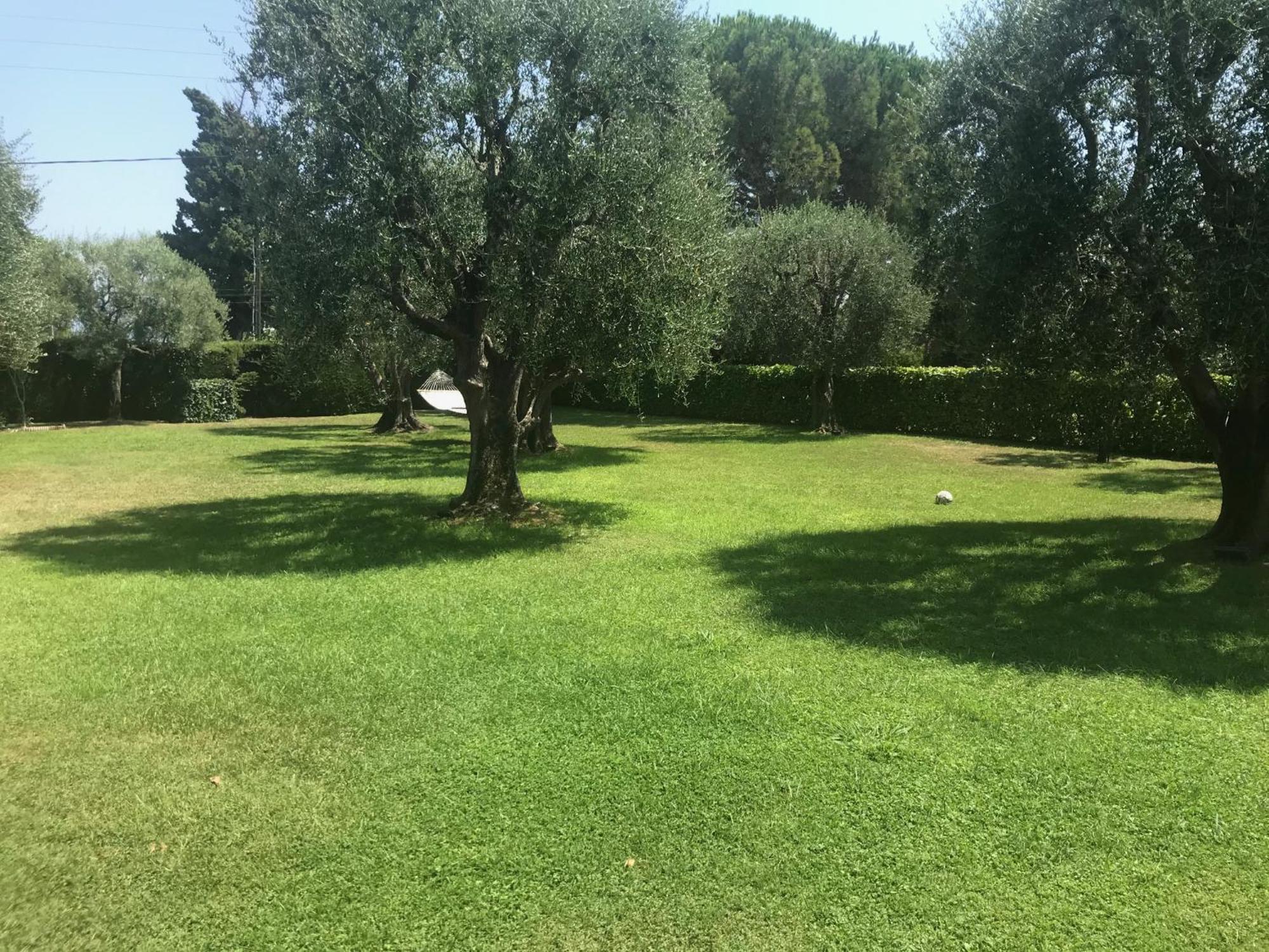 Magnifique Villa Moderne Avec Piscine La Gaude Esterno foto